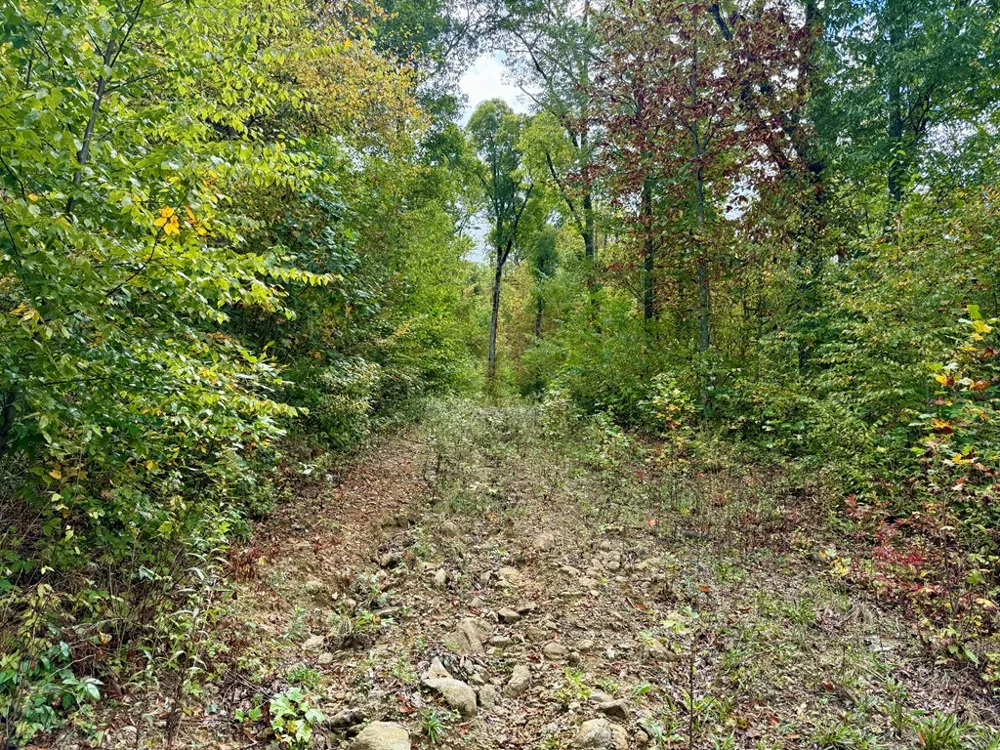 Address Not Shown Glenville, NC 28736