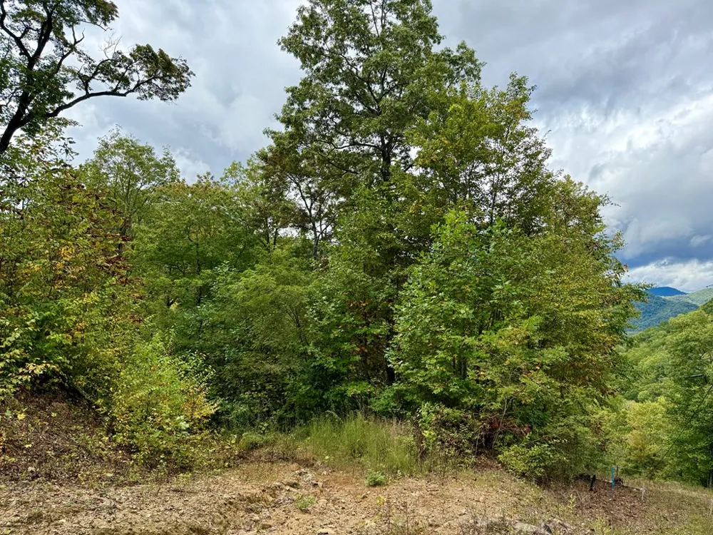Address Not Shown Glenville, NC 28736
