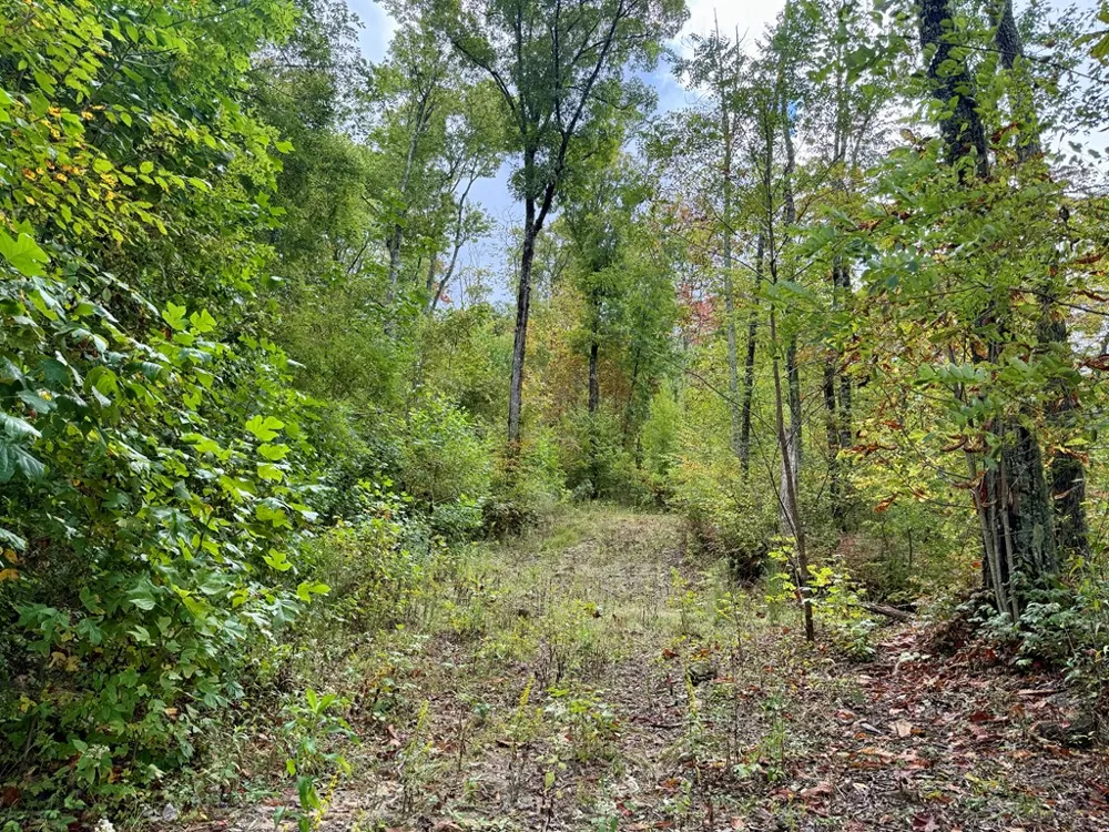 Address Not Shown Glenville, NC 28736