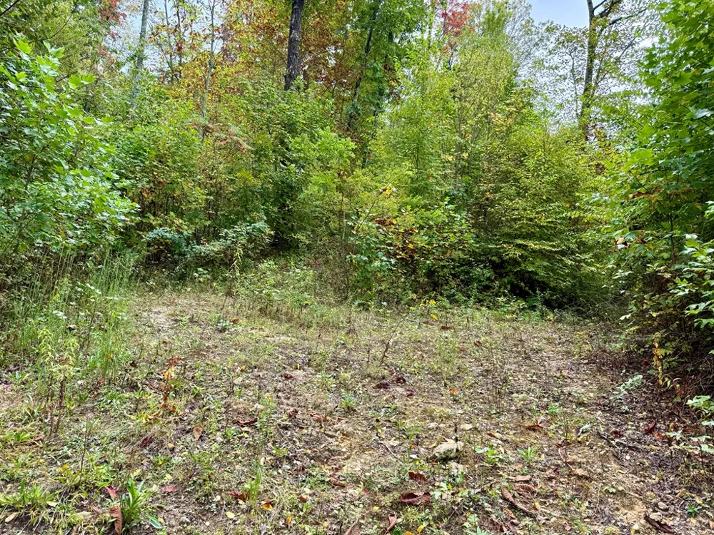 Address Not Shown Glenville, NC 28736