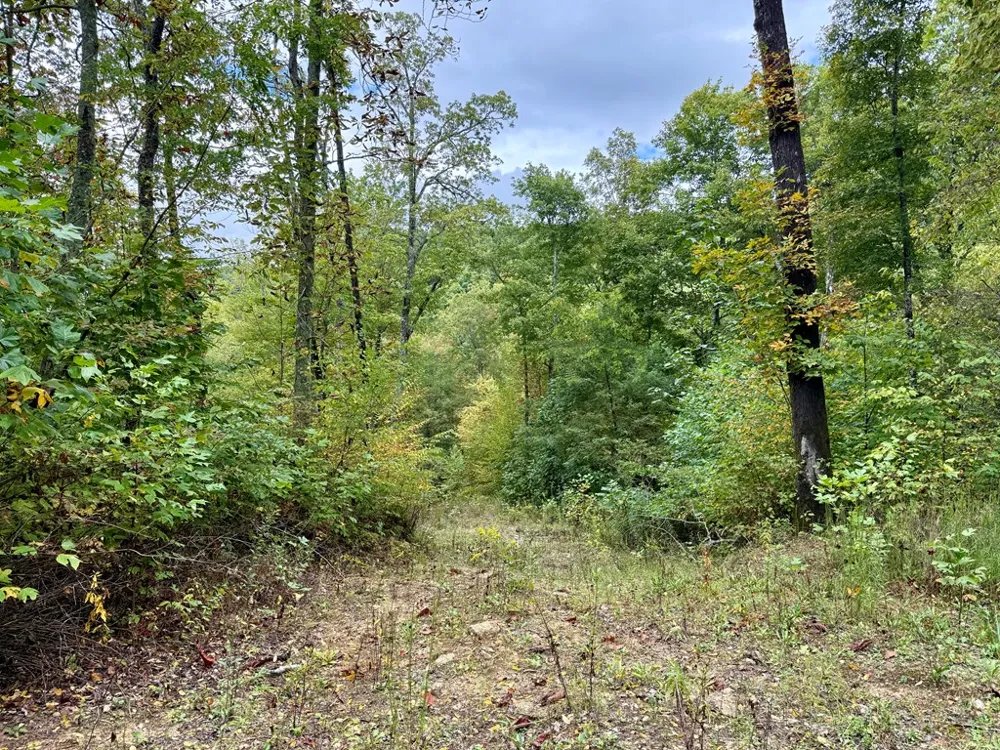 Address Not Shown Glenville, NC 28736