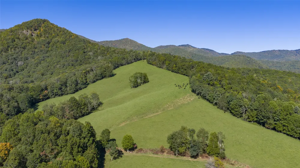 2787 Charleys Creek Road Tuckasegee, NC 28783
