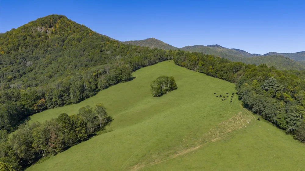 2787 Charleys Creek Road Tuckasegee, NC 28783