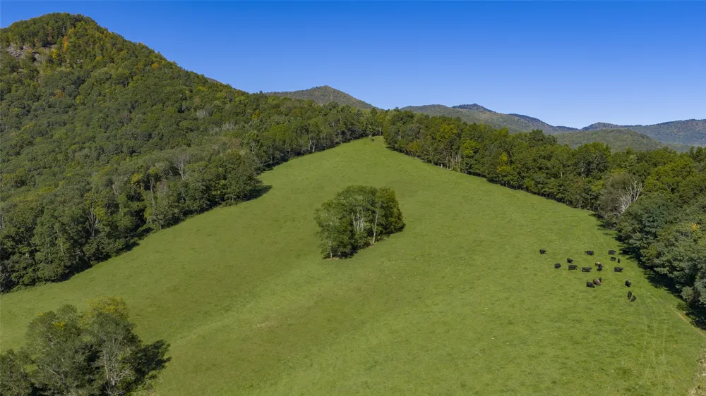 2787 Charleys Creek Road Tuckasegee, NC 28783