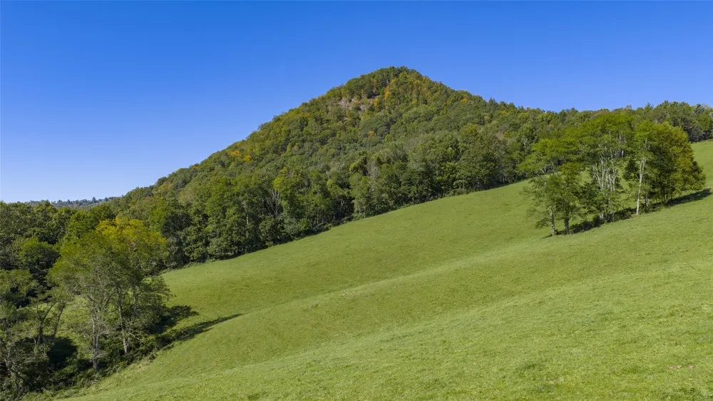 2787 Charleys Creek Road Tuckasegee, NC 28783