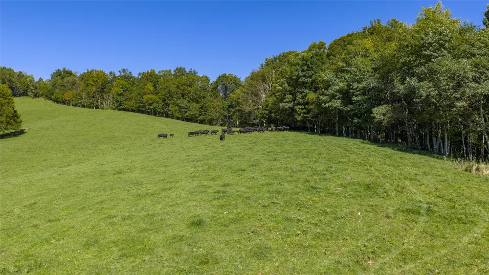 2787 Charleys Creek Road Tuckasegee, NC 28783