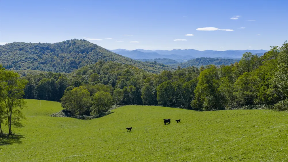 2787 Charleys Creek Road Tuckasegee, NC 28783