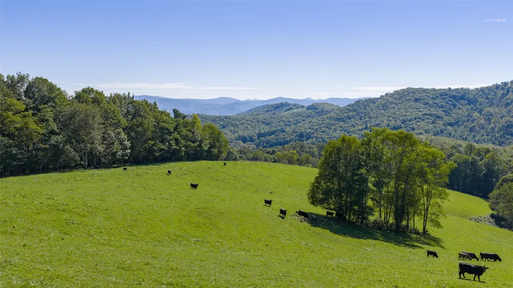 2787 Charleys Creek Road Tuckasegee, NC 28783