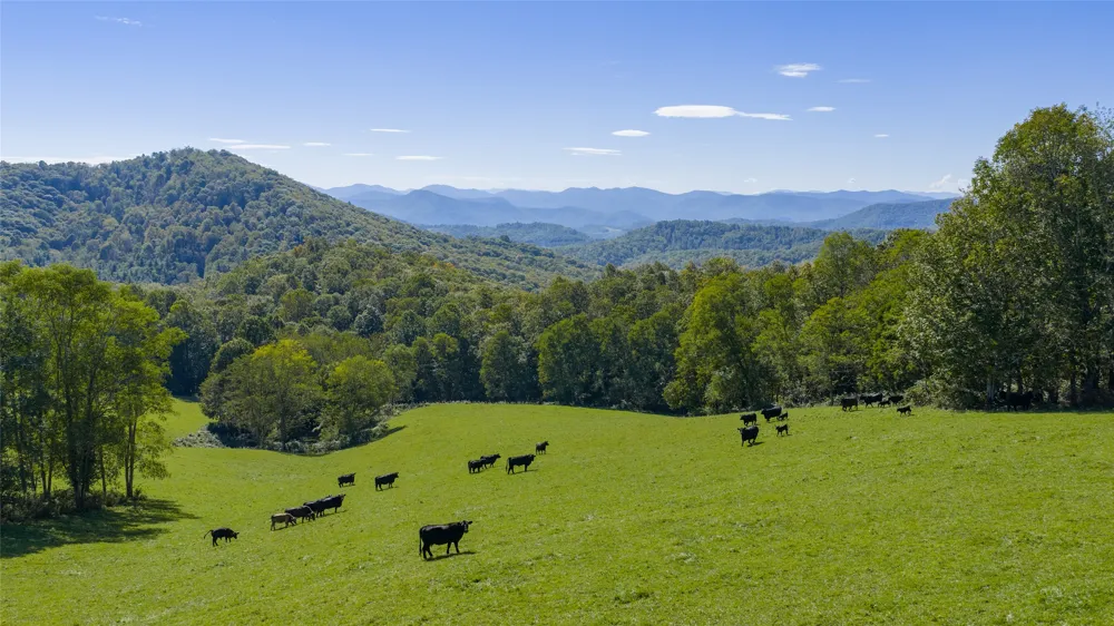 2787 Charleys Creek Road Tuckasegee, NC 28783