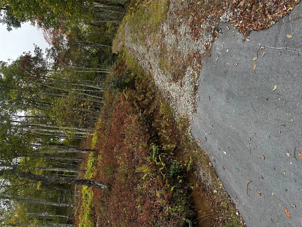 38 Hidden Grouse Lane Sapphire, NC 28774