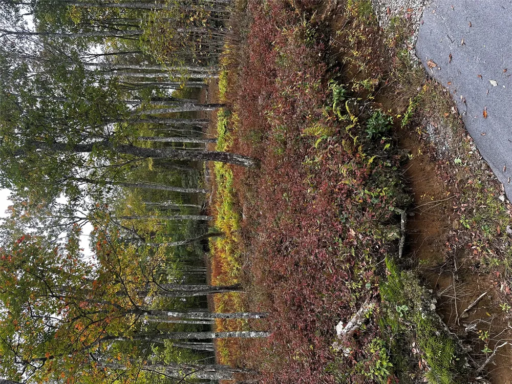 38 Hidden Grouse Lane Sapphire, NC 28774