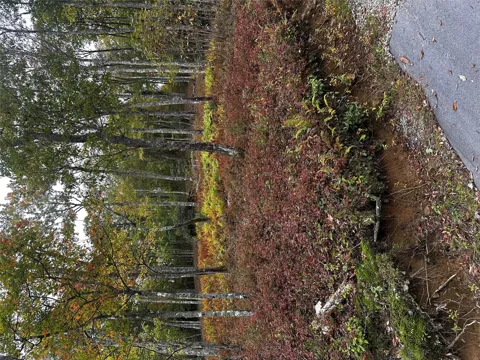 38 Hidden Grouse Lane