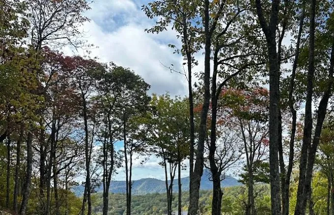 38 Hidden Grouse Lane Sapphire, NC 28774