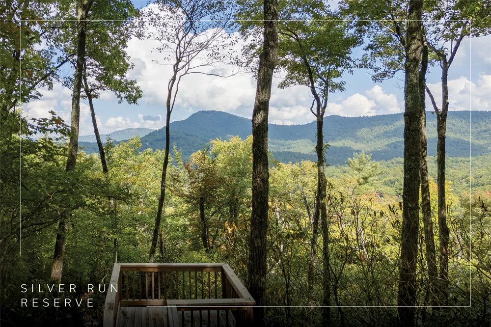 ME3 Old Chimney Road Cashiers, NC 28717