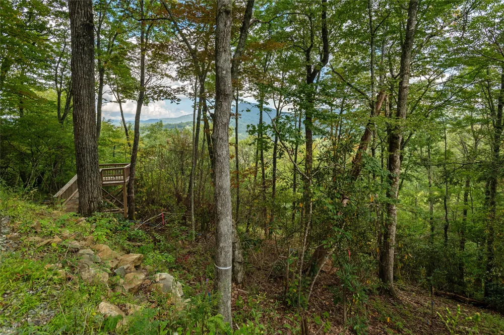 ME3 Old Chimney Road Cashiers, NC 28717