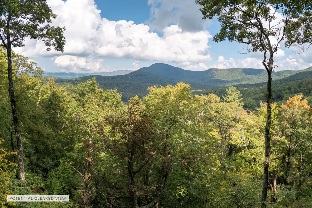 ME3 Old Chimney Road Cashiers, NC 28717