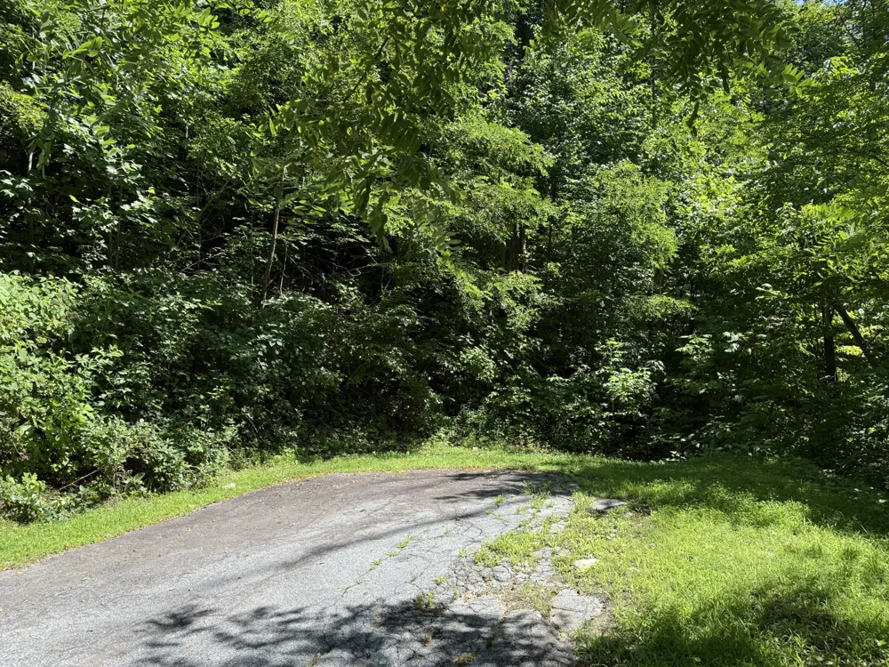 57 Mossy Cup Ct. Court Tuckasegee, NC 28783