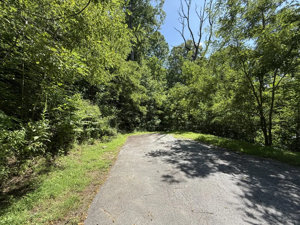 57 Mossy Cup Ct. Court Tuckasegee, NC 28783