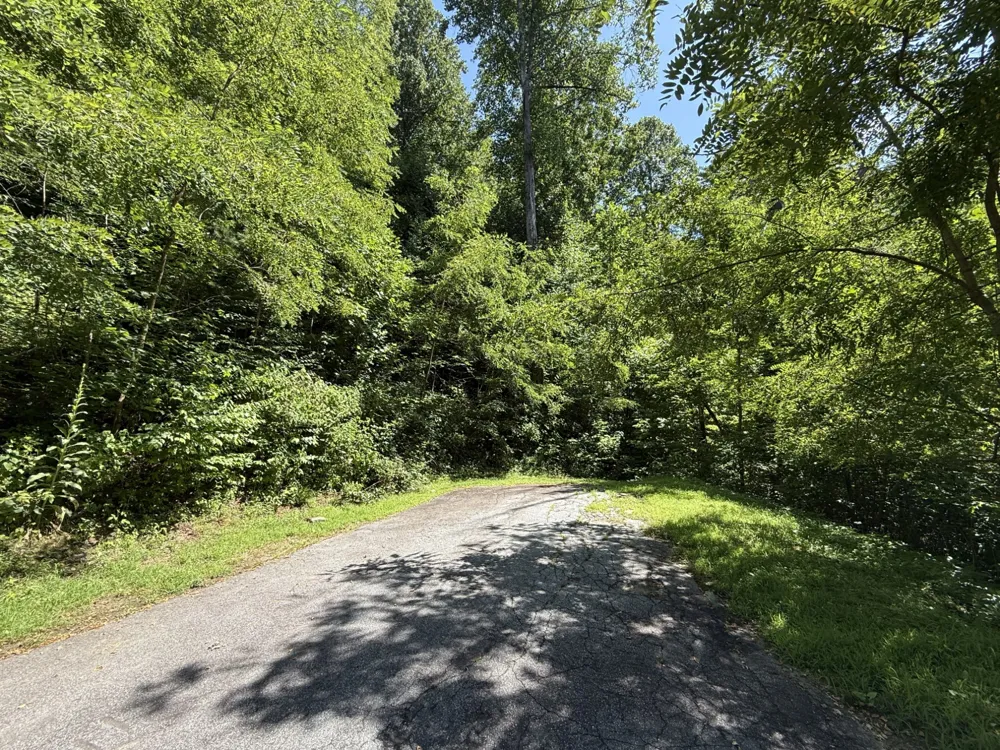 57 Mossy Cup Ct. Court Tuckasegee, NC 28783