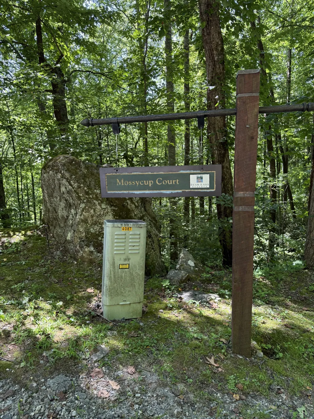 57 Mossy Cup Ct. Court Tuckasegee, NC 28783