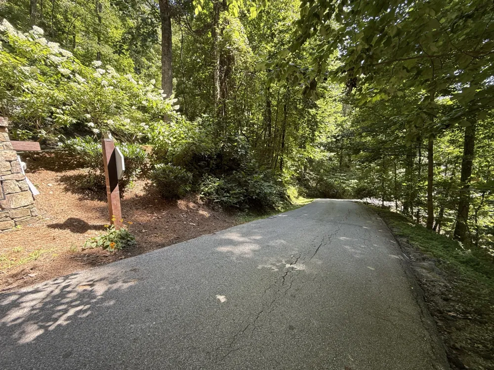 57 Mossy Cup Ct. Court Tuckasegee, NC 28783