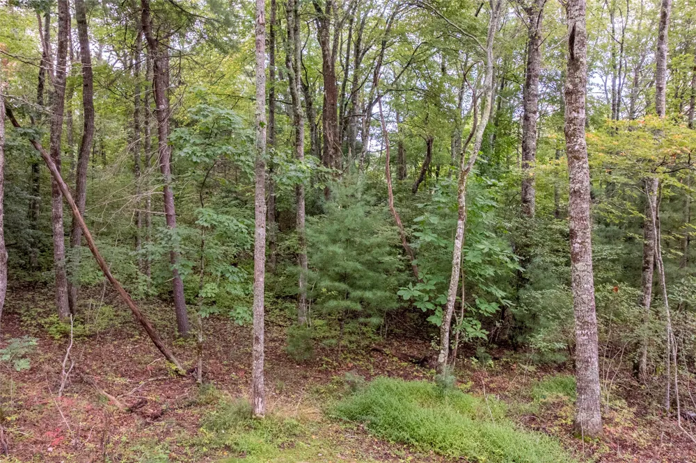 W23 Fish Camp Trail Glenville, NC 28736