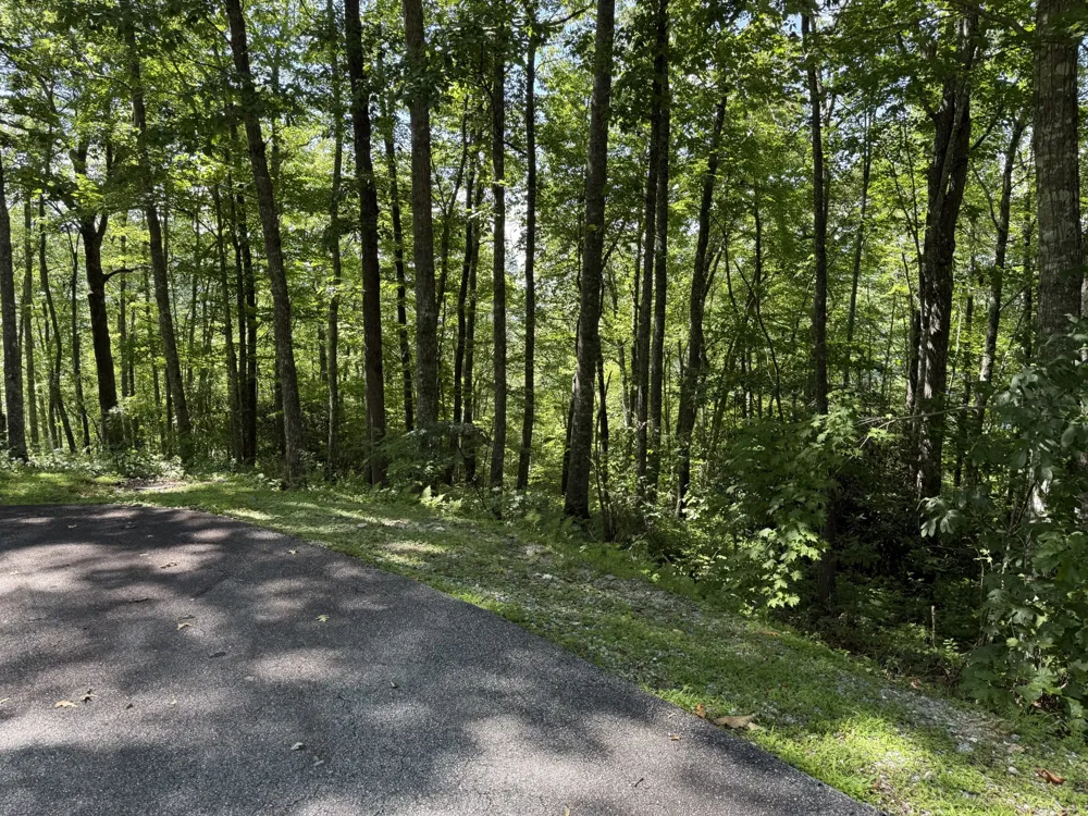 239 Cross Vine Drive Tuckasegee, NC 28783