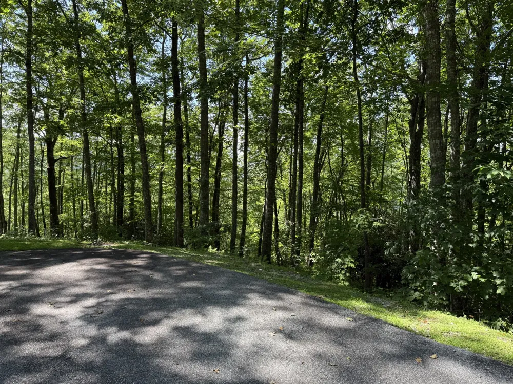 239 Cross Vine Drive Tuckasegee, NC 28783