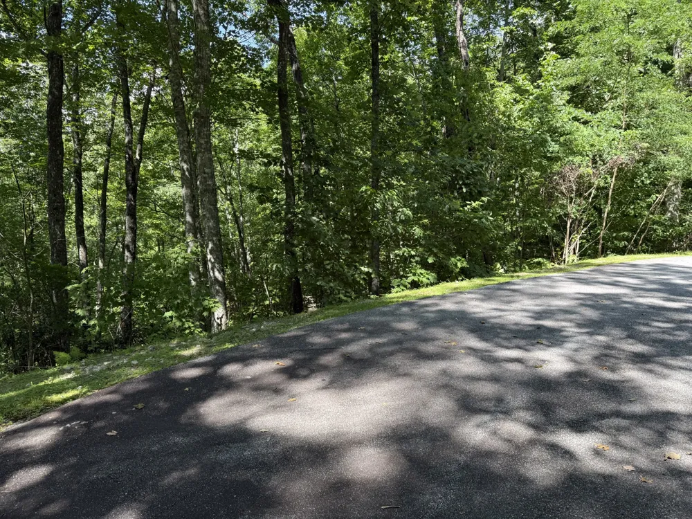 239 Cross Vine Drive Tuckasegee, NC 28783