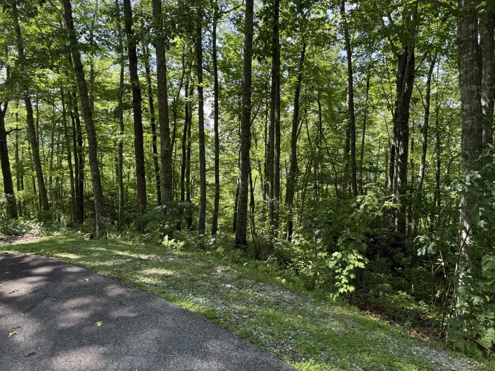 239 Cross Vine Drive Tuckasegee, NC 28783