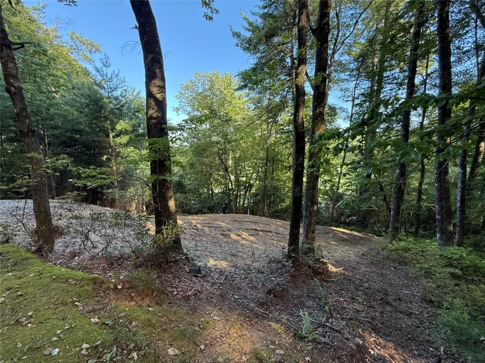 D51-52 North Club Blvd Lake Toxaway, NC 28747