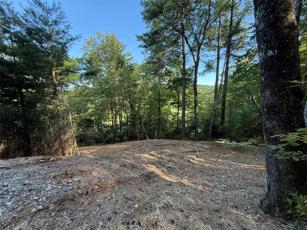 D51-52 North Club Blvd Lake Toxaway, NC 28747