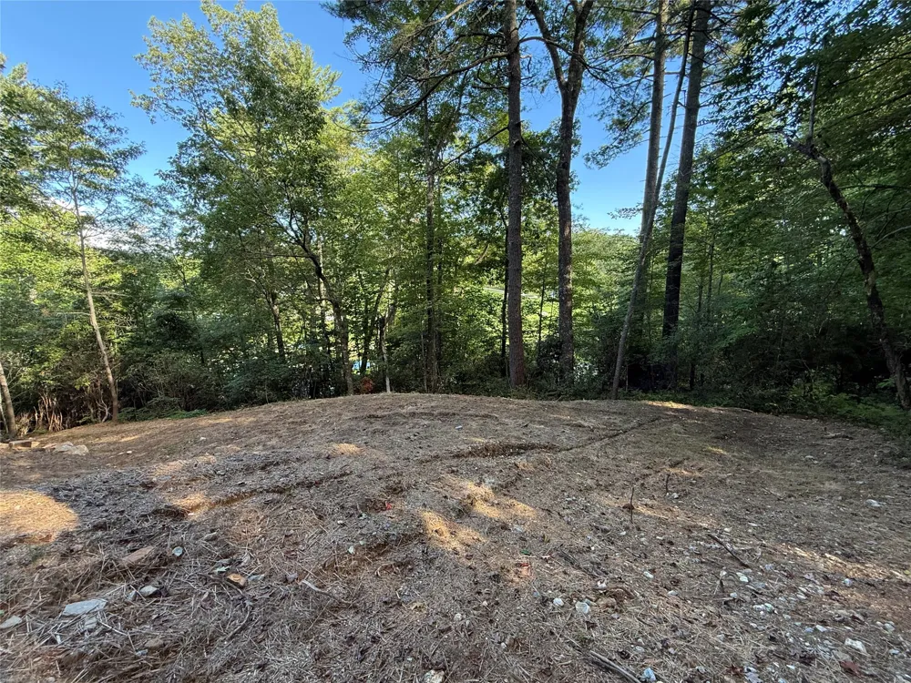 D51-52 North Club Blvd Lake Toxaway, NC 28747