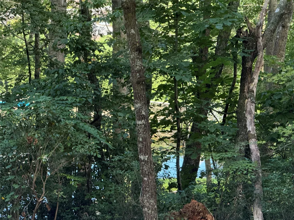 D51-52 North Club Blvd Lake Toxaway, NC 28747