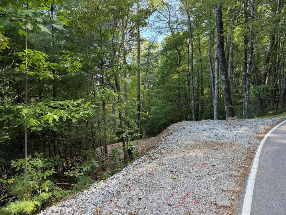 D51-52 North Club Blvd Lake Toxaway, NC 28747