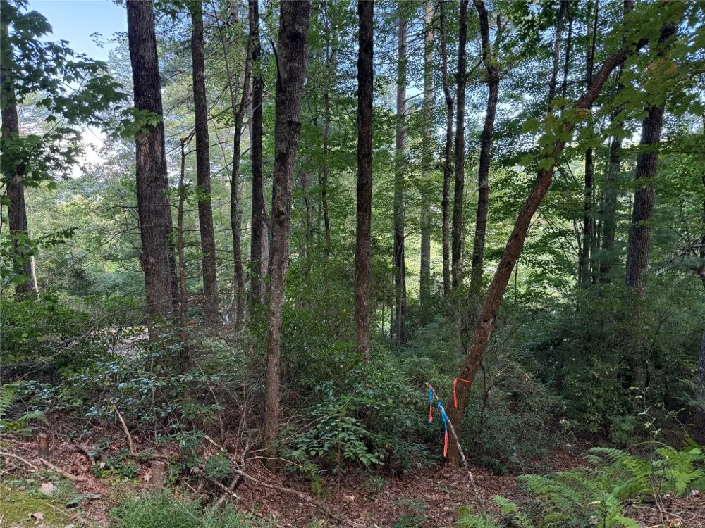 D51-52 North Club Blvd Lake Toxaway, NC 28747
