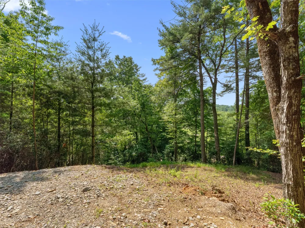 D51-52 North Club Blvd Lake Toxaway, NC 28747