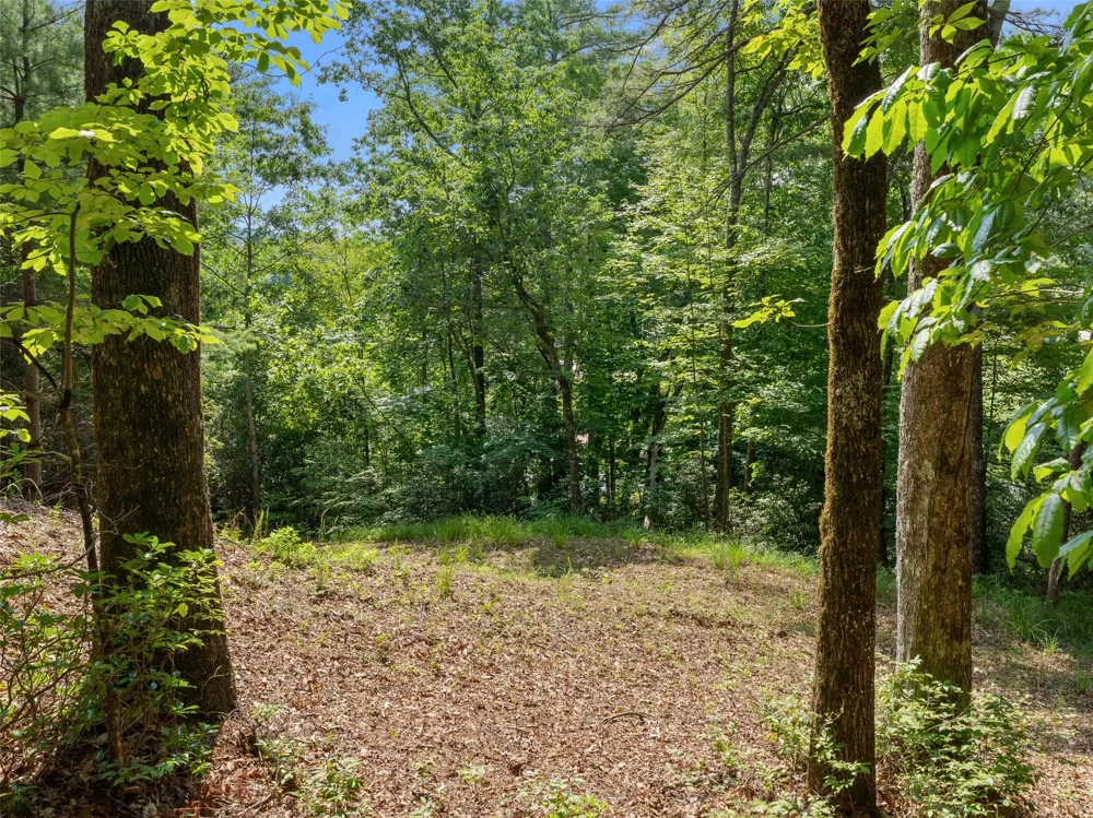 D51-52 North Club Blvd Lake Toxaway, NC 28747