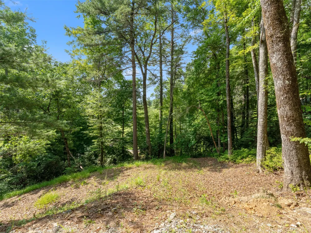 D51-52 North Club Blvd Lake Toxaway, NC 28747