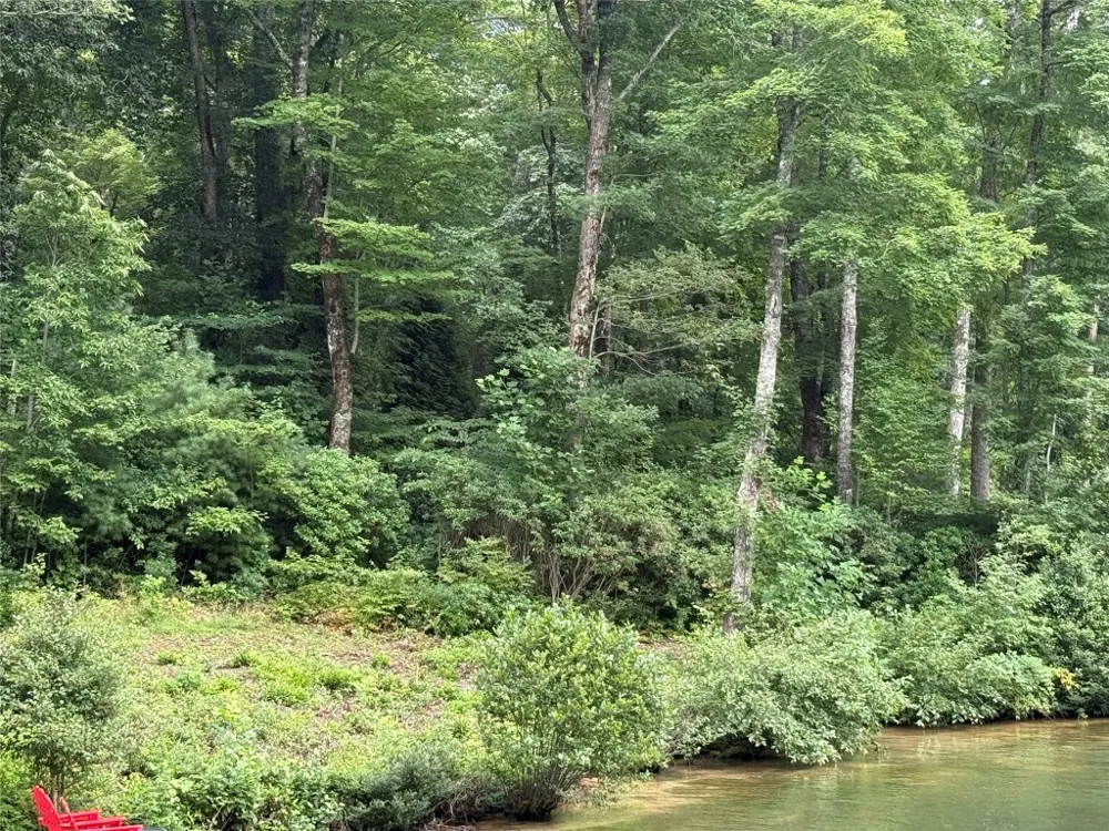E49r Cold Mountain Road Lake Toxaway, NC 28747