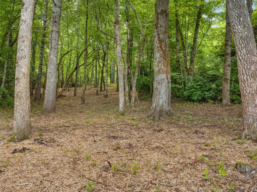 E49r Cold Mountain Road Lake Toxaway, NC 28747
