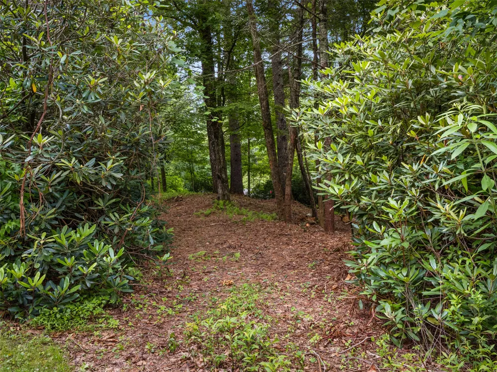 E49r Cold Mountain Road Lake Toxaway, NC 28747