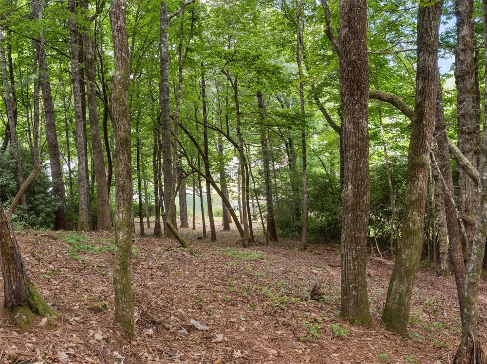 E49r Cold Mountain Road Lake Toxaway, NC 28747