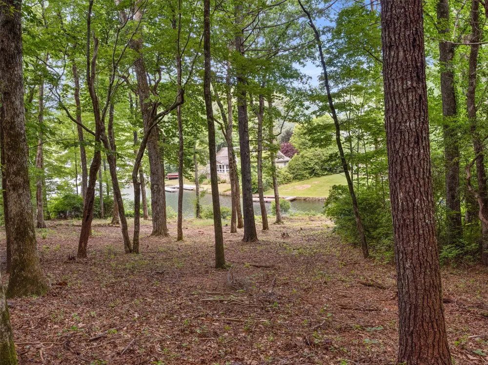 E49r Cold Mountain Road Lake Toxaway, NC 28747