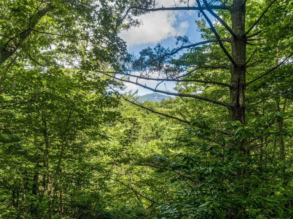 I 10 Seminole Way Lake Toxaway, NC 28747