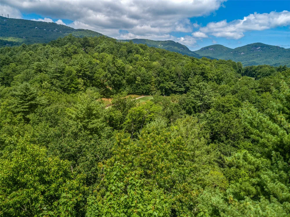 I 10 Seminole Way Lake Toxaway, NC 28747