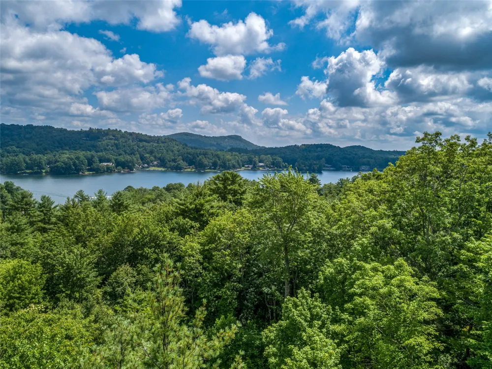 I 10 Seminole Way Lake Toxaway, NC 28747