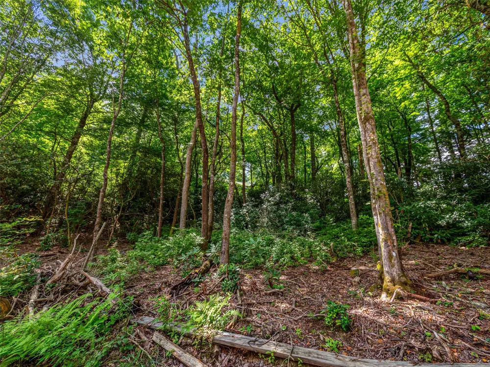 I 10 Seminole Way Lake Toxaway, NC 28747