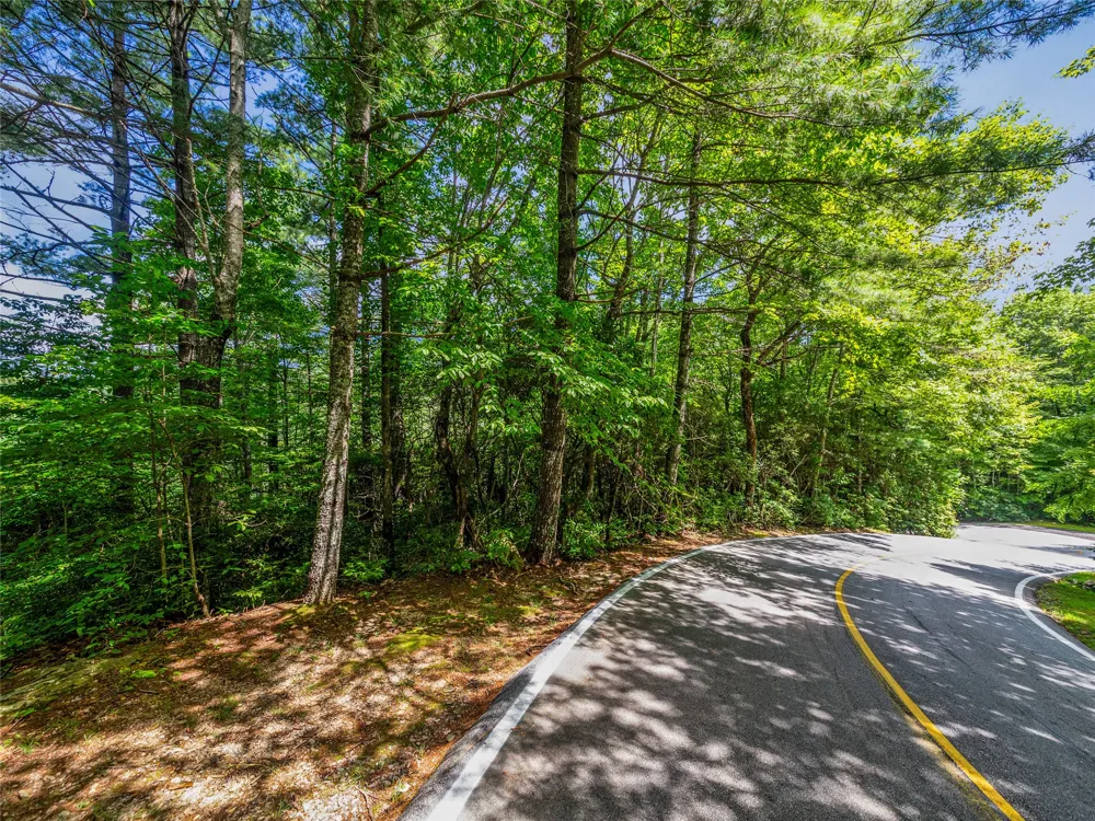 I 10 Seminole Way Lake Toxaway, NC 28747