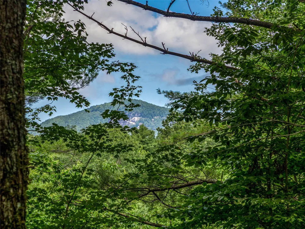 I 10 Seminole Way Lake Toxaway, NC 28747